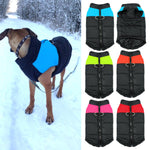Waterproof Dog Coat for Medium / Large Size Dogs - Multiple Colors