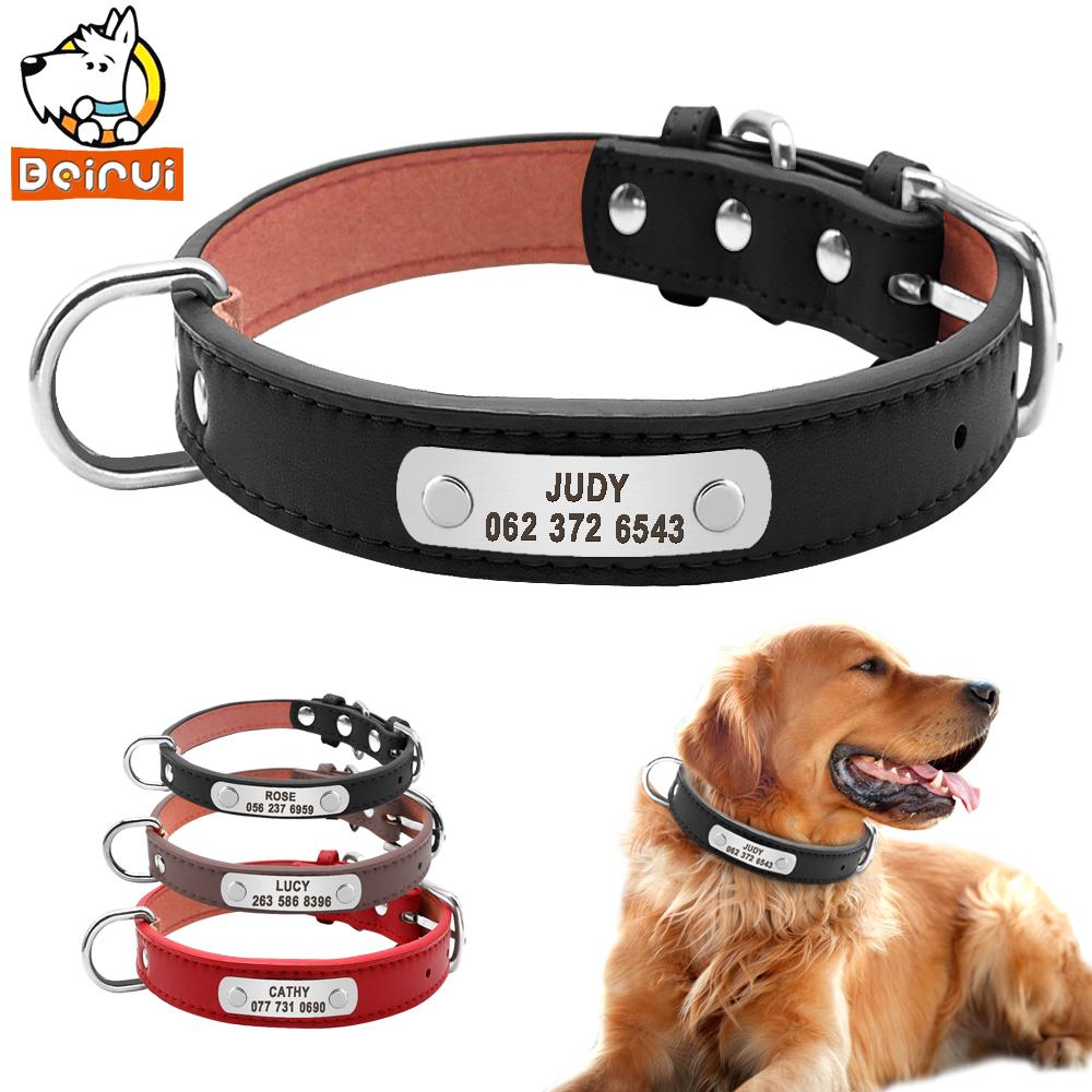 Leather Dog Collar Customized for Any Dog