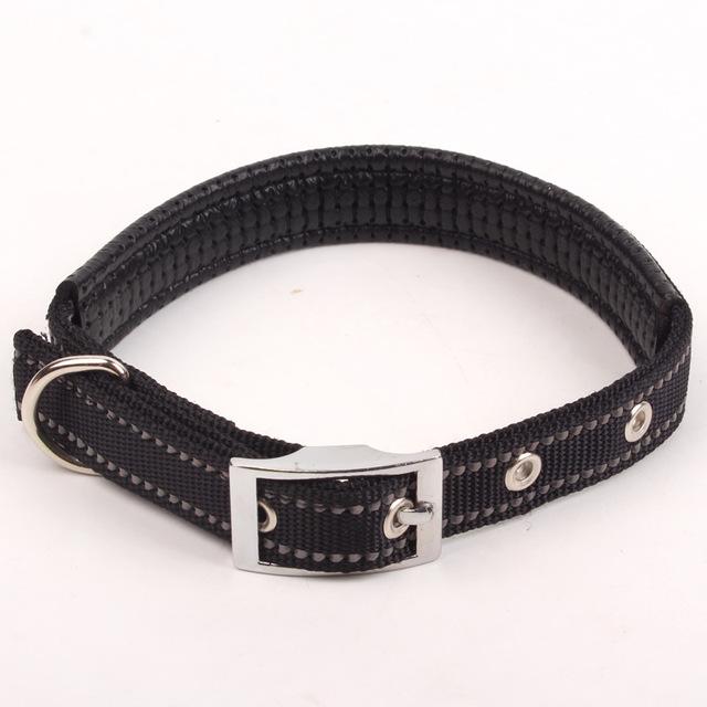 Reflective Nylon Night Safe Dog Collar