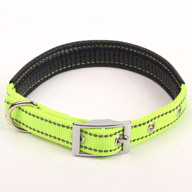 Reflective Nylon Night Safe Dog Collar