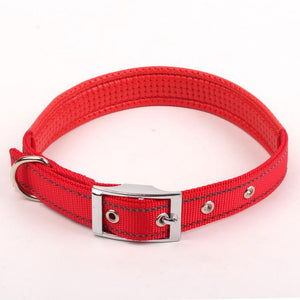 Reflective Nylon Night Safe Dog Collar