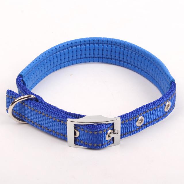 Reflective Nylon Night Safe Dog Collar