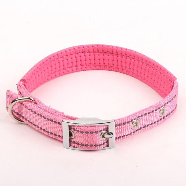 Reflective Nylon Night Safe Dog Collar