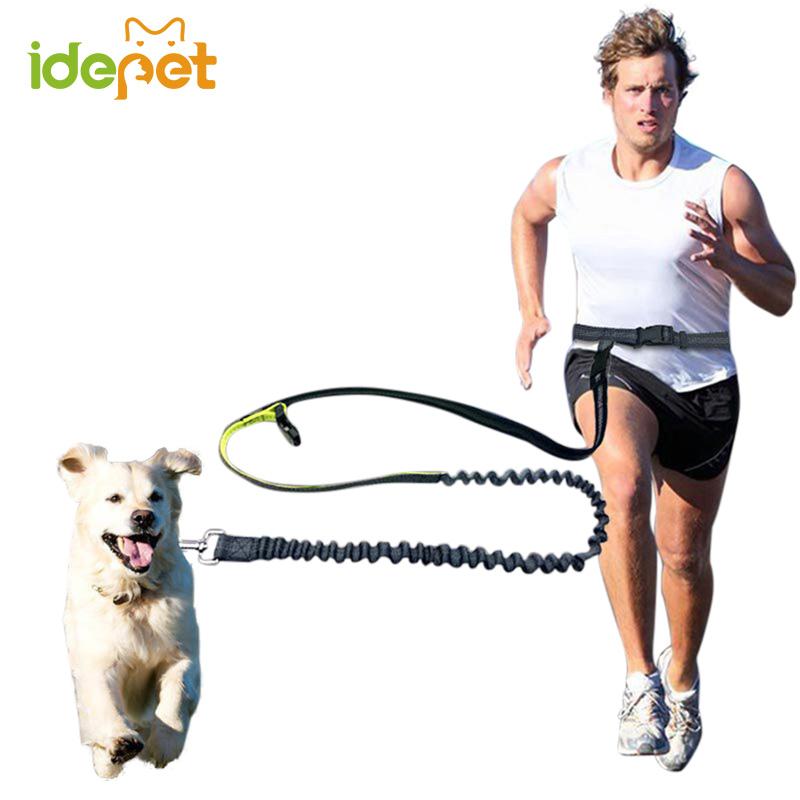 Elastic Waist Dog Leash for Jogging or Walking