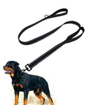 2 Handle Dog Leash - Short